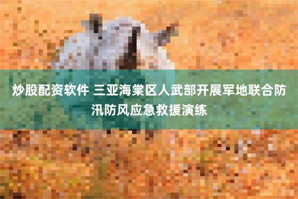 炒股配资软件 三亚海棠区人武部开展军地联合防汛防风应急救援演练