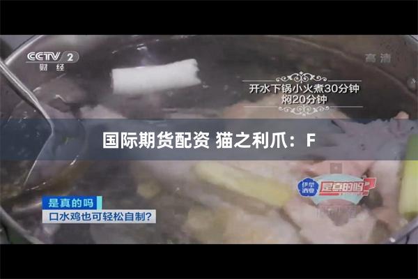 国际期货配资 猫之利爪：F