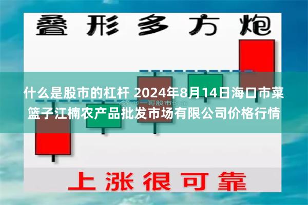 什么是股市的杠杆 2024年8月14日海口市菜篮子江楠农产品批发市场有限公司价格行情