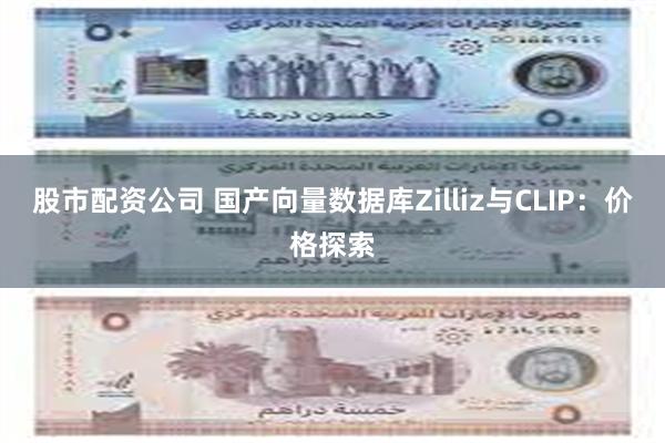 股市配资公司 国产向量数据库Zilliz与CLIP：价格探索