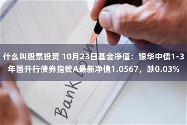 什么叫股票投资 10月23日基金净值：银华中债1-3年国开行债券指数A最新净值1.0567，跌0.03%