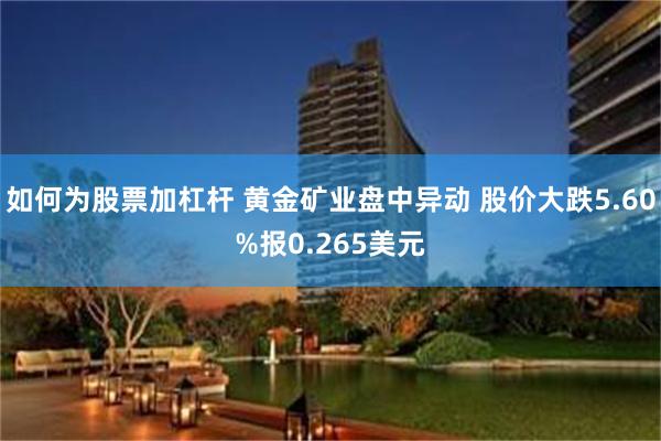 如何为股票加杠杆 黄金矿业盘中异动 股价大跌5.60%报0.265美元