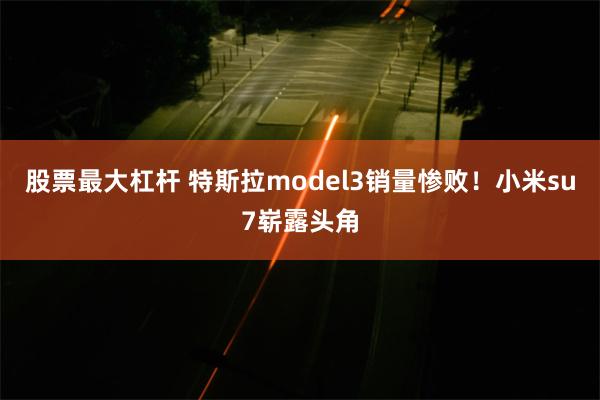 股票最大杠杆 特斯拉model3销量惨败！小米su7崭露头角