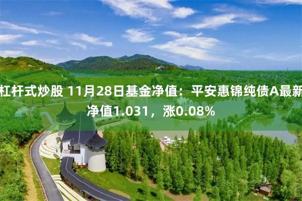 杠杆式炒股 11月28日基金净值：平安惠锦纯债A最新净值1.031，涨0.08%