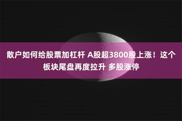 散户如何给股票加杠杆 A股超3800股上涨！这个板块尾盘再度拉升 多股涨停