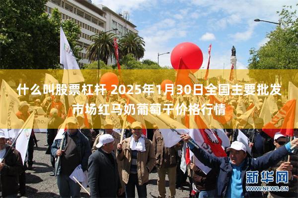 什么叫股票杠杆 2025年1月30日全国主要批发市场红马奶葡萄干价格行情