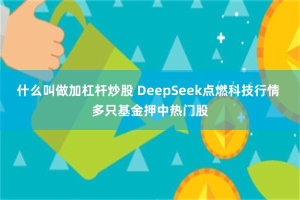 什么叫做加杠杆炒股 DeepSeek点燃科技行情 多只基金押中热门股