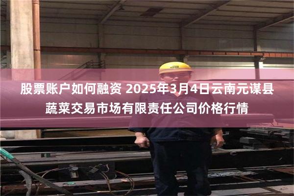 股票账户如何融资 2025年3月4日云南元谋县蔬菜交易市场有限责任公司价格行情