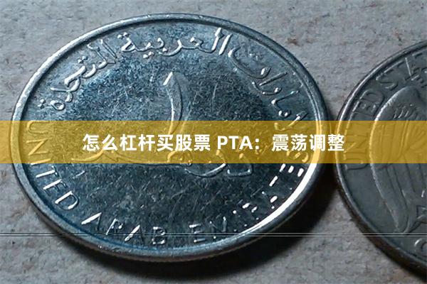 怎么杠杆买股票 PTA：震荡调整